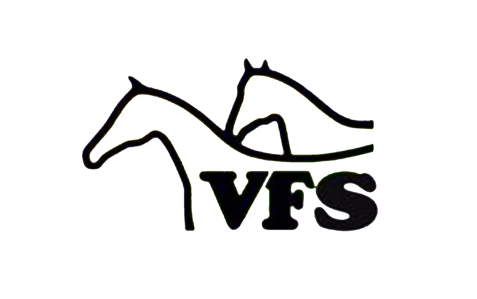 VFS Logo